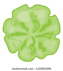 A flower shape of cucumber made to garnish and adding beauty on meals and salads