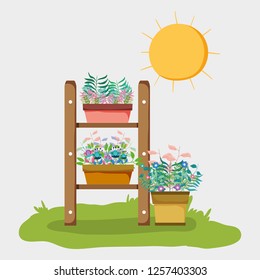 flower shelf with plants leaves and sun