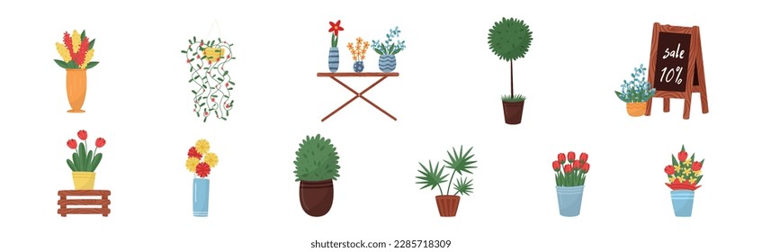 Flower Shop with Different Plant in Pots Vector Set