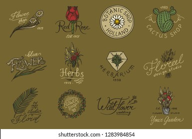 Flower shop emblems and logo. Vintage bouquet. Gardening signs and retro label. Hand drawn badges. Floral templates.