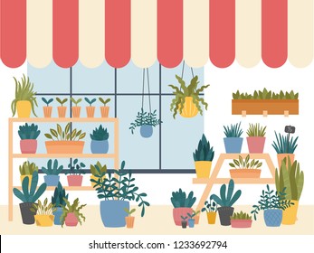 Flower shop interior with various indoor plants in pots, planters and boxes,standing on shelves and stands, with window striped shed.Cute Scandinavian Hygge style.Vector illustration, dark background.