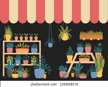 Flower shop interior with various indoor plants in pots, planters and boxes, standing on shelves and stands, with striped shed.Cute Scandinavian Hygge style.Vector illustration, dark background.