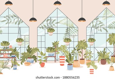 Flower shop vector flat interior design with big windows. Different home and outdoor plants and trees on shelves and stands. Agriculture gardener hobby, garden shop illustration.