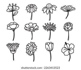 Flower side view hand drawn doodles drawing vector illustration including a rose, sunflower, morning glory, hibiscus, etc.