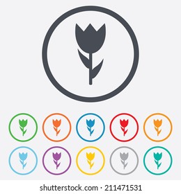 Flower sign icon. Rose symbol. Macro. Round circle buttons with frame. Vector