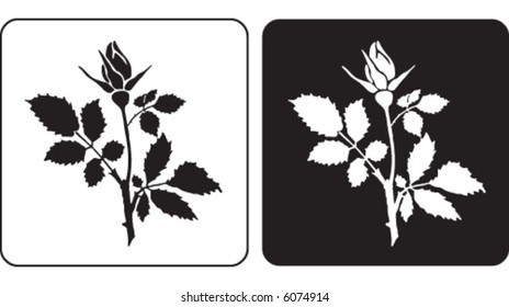 flower silhouette