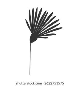 Flower silhouette, chamomile dandelion echinacea, isolated on white background.