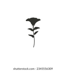 flower silhouette on white background