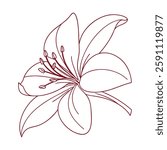 Flower Silhouette Vector Design EPS