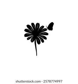   Flower   silhouette  with vector  illustration