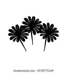   Flower   silhouette  with vector  illustration