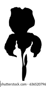 Flower. Silhouette. Vector isolated. Black and white illustration