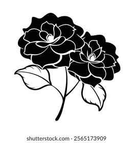 flower  Silhouette with white background
