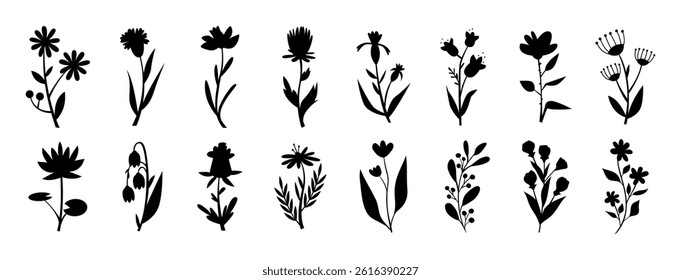 Flower silhouettes. Set of leaves silhouette of beautiful plants, leaves, plant design. Vector illustration