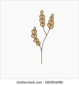 flower simple botanical illustrations, line artwork, minimal design elements. elegant and delicate plant doodles for branding, wedding invitation, graphic design. spring floral clip art , feminine art