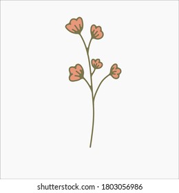 flower simple botanical illustrations, line artwork, minimal design elements. elegant and delicate plant doodles for branding, wedding invitation, graphic design. spring floral clip art , feminine art