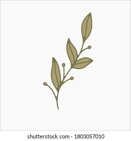 flower simple botanical illustrations, line artwork, minimal design elements. elegant and delicate plant doodles for branding, wedding invitation, graphic design. spring floral clip art , feminine art