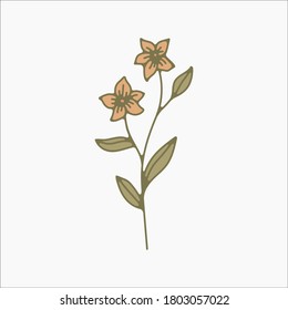 flower simple botanical illustrations, line artwork, minimal design elements. elegant and delicate plant doodles for branding, wedding invitation, graphic design. spring floral clip art , feminine art