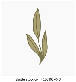 flower simple botanical illustrations, line artwork, minimal design elements. elegant and delicate plant doodles for branding, wedding invitation, graphic design. spring floral clip art , feminine art