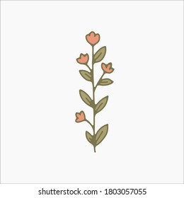 flower simple botanical illustrations, line artwork, minimal design elements. elegant and delicate plant doodles for branding, wedding invitation, graphic design. spring floral clip art , feminine art