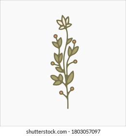 ilustraciones botánicas simples de flores, ilustraciones de línea, elementos de diseño mínimos. doodles de planta elegantes y delicados para marca, invitación a bodas, diseño gráfico. dibujos animados florales de primavera, arte femenino