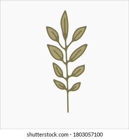 ilustraciones botánicas simples de flores, ilustraciones de línea, elementos de diseño mínimos. doodles de planta elegantes y delicados para marca, invitación a bodas, diseño gráfico. dibujos animados florales de primavera, arte femenino