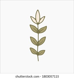 flower simple botanical illustrations, line artwork, minimal design elements. elegant and delicate plant doodles for branding, wedding invitation, graphic design. spring floral clip art , feminine art
