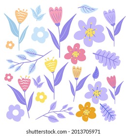 Flor simple y plana, colección de botánica dibujada a mano aislada en fondo blanco. Conjunto de elementos florales y herbáceos. Vector.