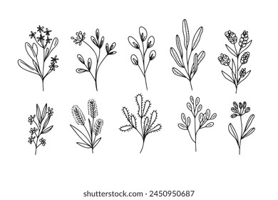 Flower simple vector icon. Doodle outline plant. Drawings element silhouette. Vector illustration