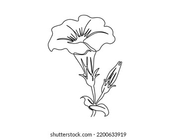 Flower single line art drawing, continues line vector illustration