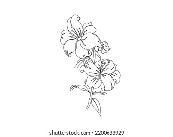 Flower single line art drawing, continues line vector illustration