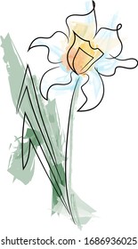 Flower in a single line. on white background. Watercolor colors. Tender Tulip and daffodil. Field flowers. Vector illustration