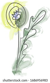 Flower in a single line. on white background. Watercolor colors. Dandelion. Field flowers. Vector illustration