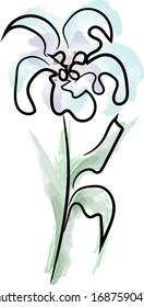 Flower in a single line. on white background. Watercolor colors. 