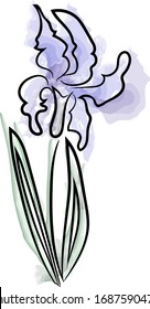 Flor en una sola línea. sobre fondo blanco. Color de agua. 