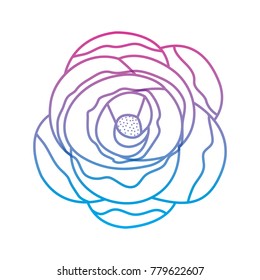 flower single topview floral icon image 