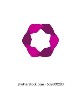 Flower Six Star Logo Concept