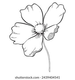 The Flower Sketch 1 vector line art