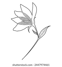 Die Blumenskizze 15 Vektorgrafik