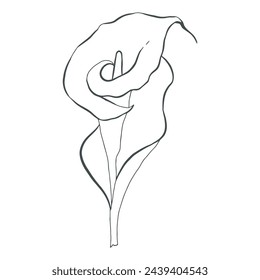 El vector de Sketch 2 de la flor aislado en blanco