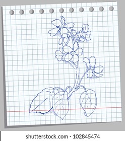 flower sketch