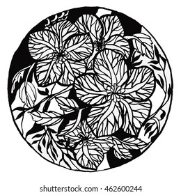Flower sketch