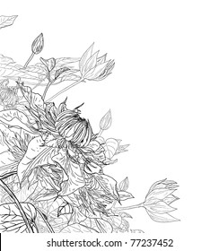 flower sketch