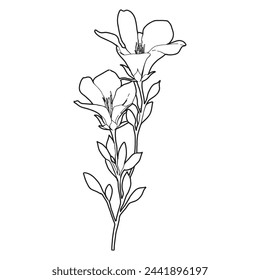 The Flower sketch 6 vector line art isolated.