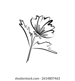 Flower. Sketch of floral abstraction. Drawn with black brush on white background. Simple drawing. Element for wedding, spring, summer, botanical design. Vector illustration isolated
