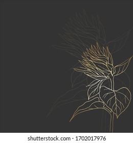 Flower sketch with a gold line on a black background. Template for a postcard, invitation, or banner. Vector graphics.