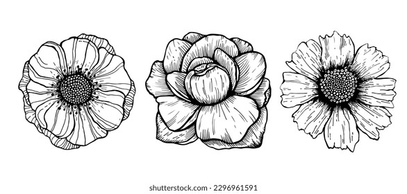 Flower Sketch. Hand Drawn Isolated Vector Illustration. Line Art Flowers. Floral Line art. Botanical Line Drawing.