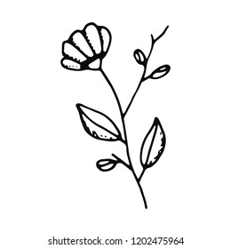 flower sketch icon. isolated object.
