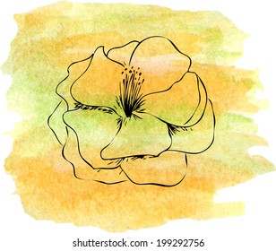 Flower sketch on watercolor spot