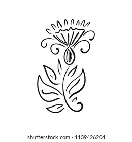 Flower. Sketch. Vector illustration